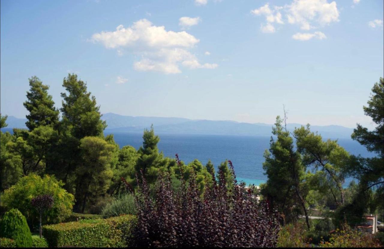 Amazing Villa With Views Sea In Παλιούρι Εξωτερικό φωτογραφία