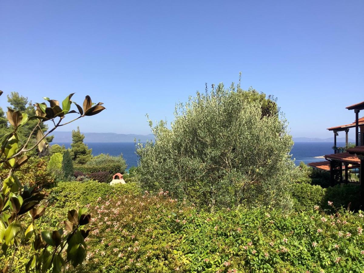 Amazing Villa With Views Sea In Παλιούρι Εξωτερικό φωτογραφία