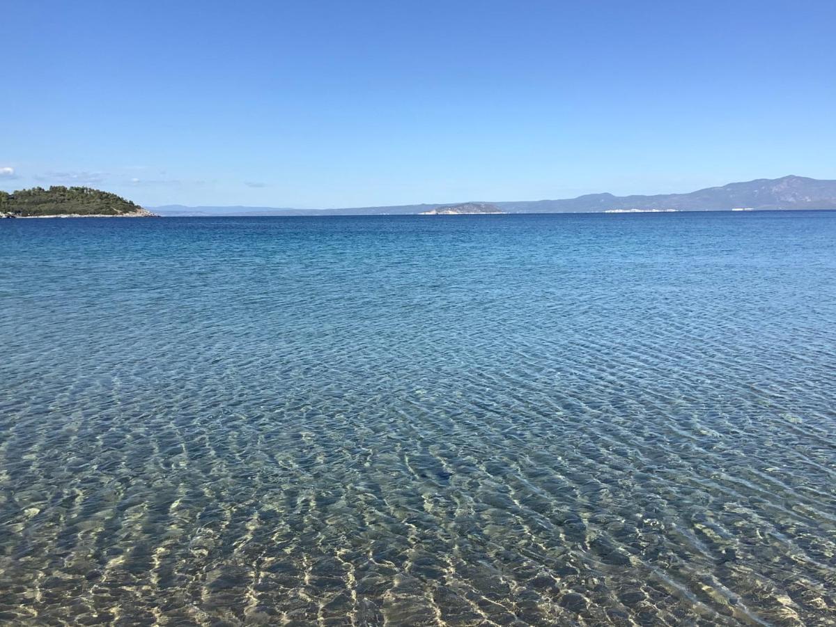 Amazing Villa With Views Sea In Παλιούρι Εξωτερικό φωτογραφία