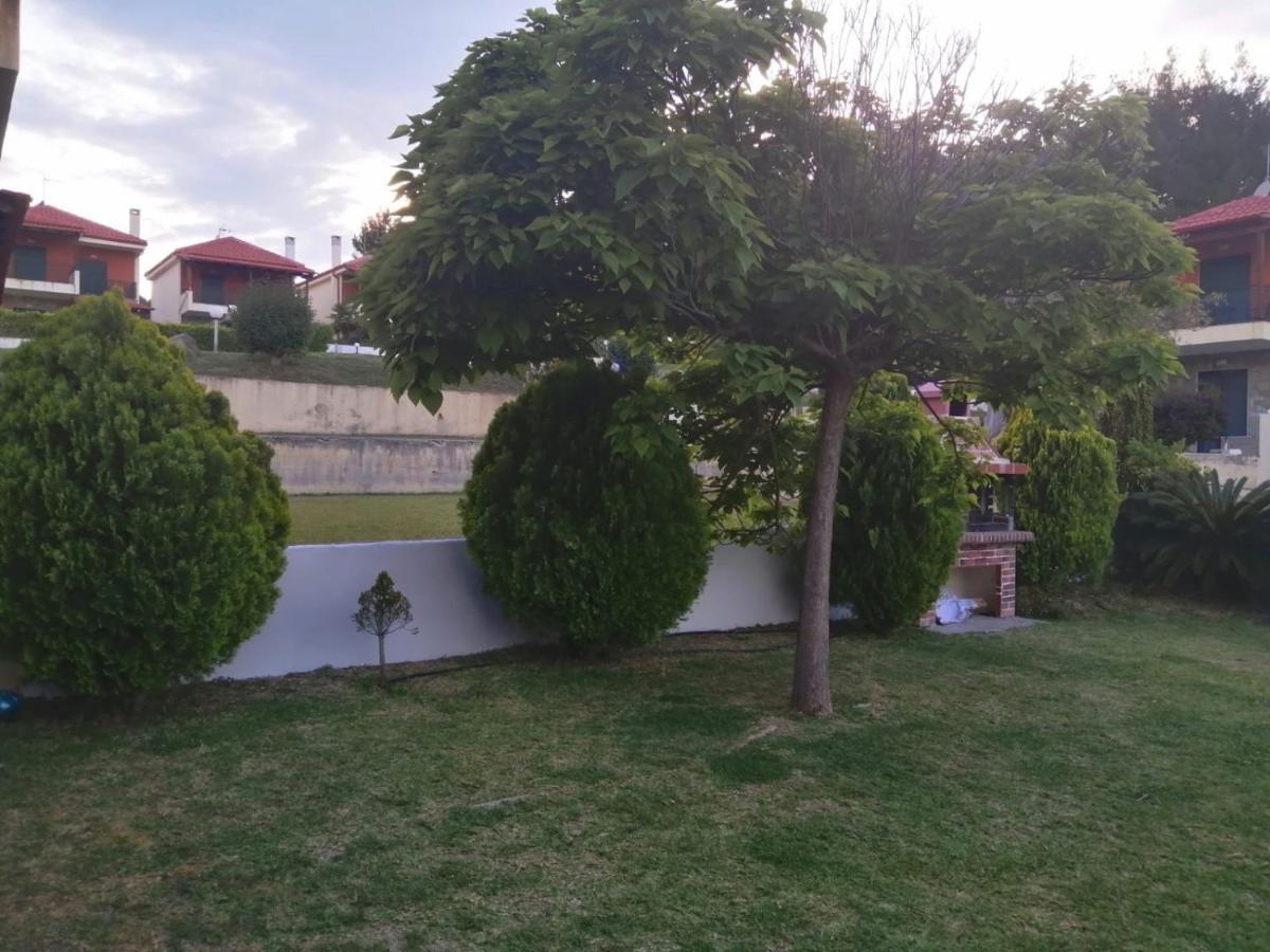 Amazing Villa With Views Sea In Παλιούρι Εξωτερικό φωτογραφία